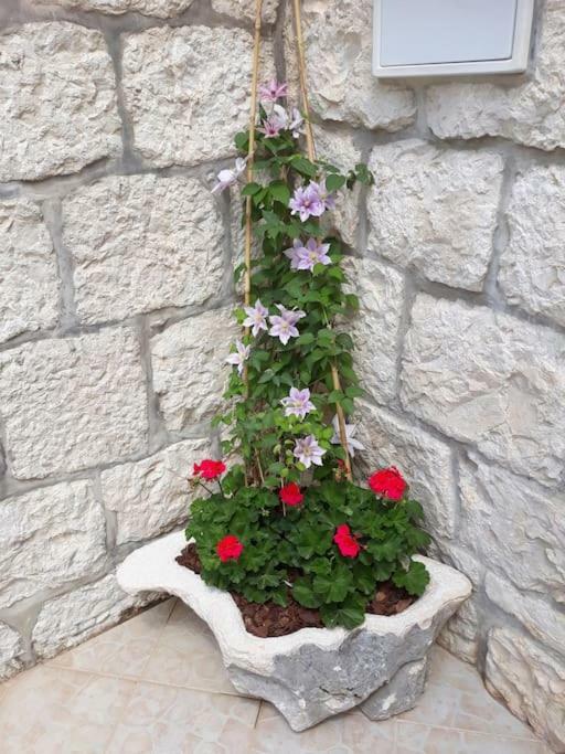 Villa Sweet Home Mokošica Esterno foto