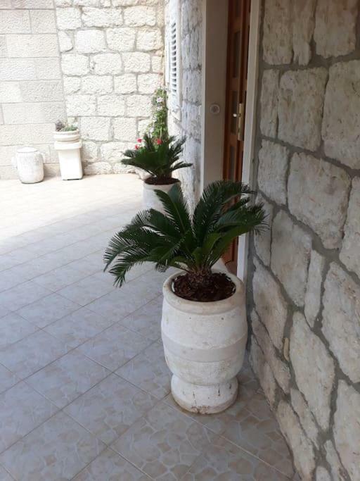 Villa Sweet Home Mokošica Esterno foto