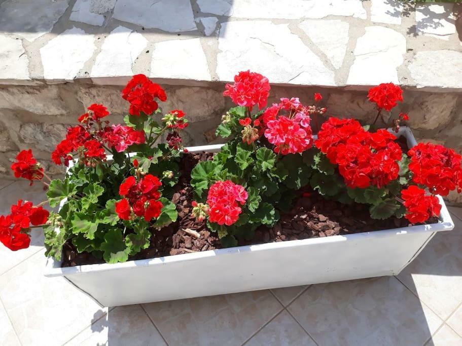 Villa Sweet Home Mokošica Esterno foto